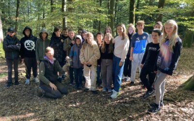 Ein Vormittag im Wald