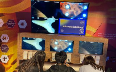 Landschulheim Stufe 6 in Speyer